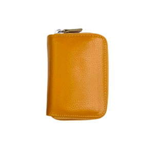 Aitonahkainen haitari-korttikotelo